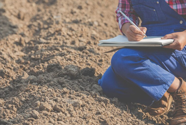 Soil Testing